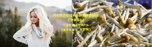 дмт Болохово