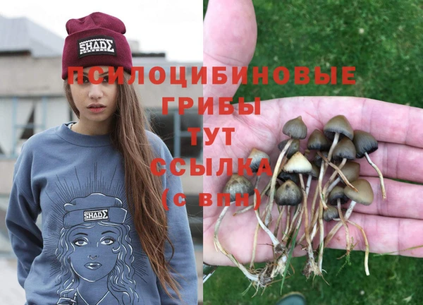 spice Дмитриев