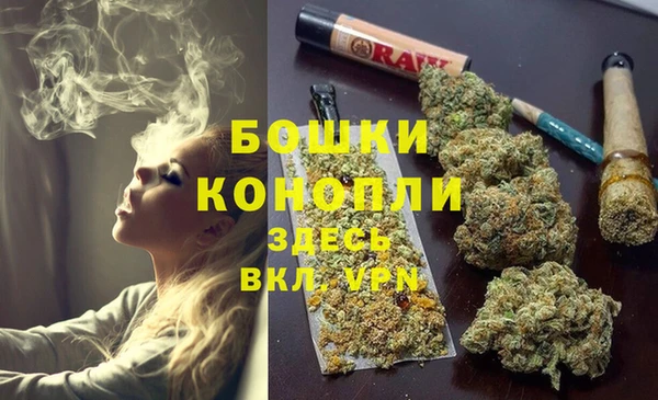 spice Дмитриев