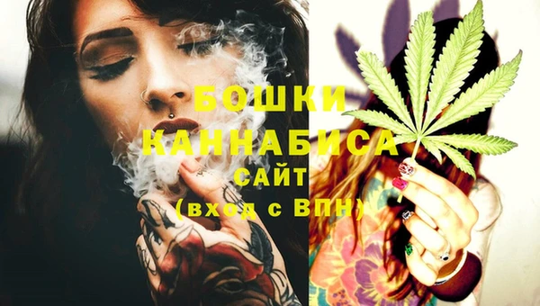 spice Дмитриев
