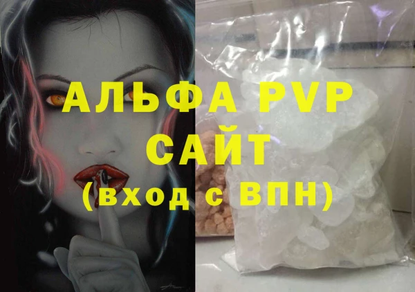 spice Дмитриев