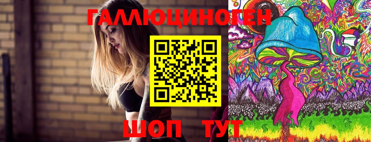 Железноводск  Галлюциногенные грибы MAGIC MUSHROOMS  Вход с VPN  Псилоцибиновые грибы GOLDEN TEACHER 