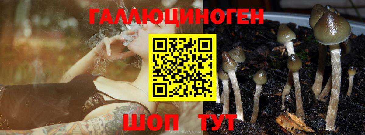 Галлюциногенные грибы MAGIC MUSHROOMS Железноводск