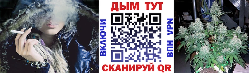 Шишки марихуана семена  Железноводск 