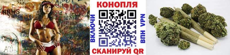 Бошки марихуана ГИДРОПОН Железноводск